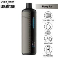 lostmaryxurbantale-e-hookah-disposable-berryice.jpg